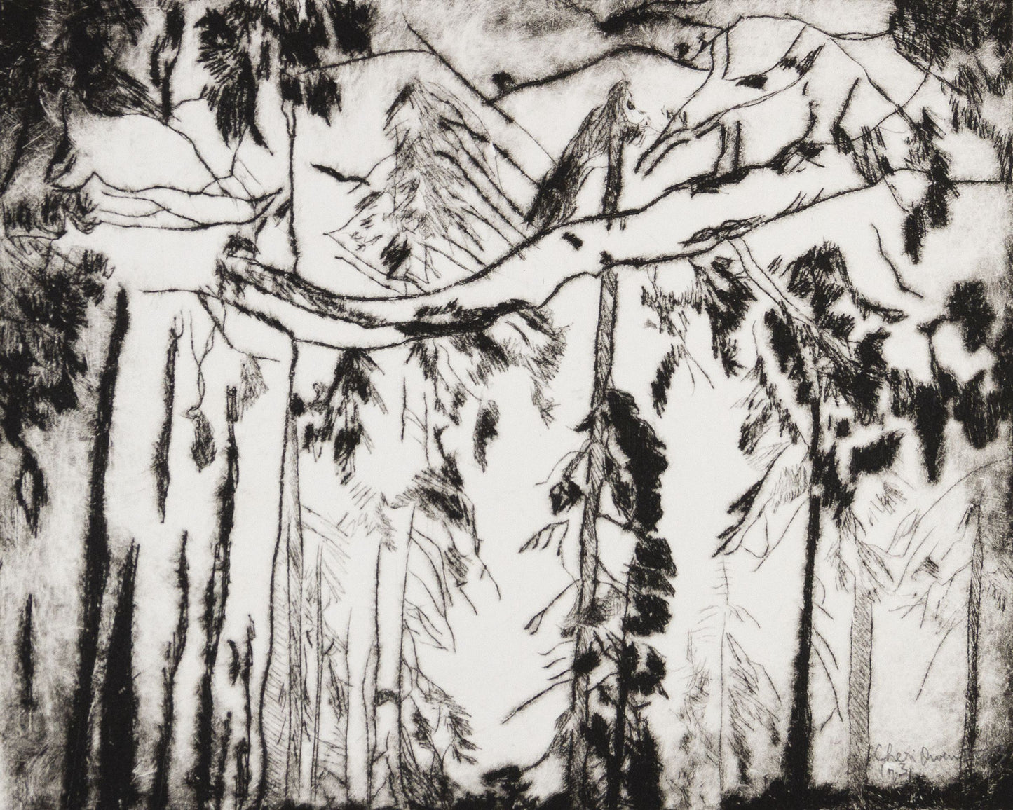 38x10 Black and white sketch of a forest with tall trees and mountains signed by artist.