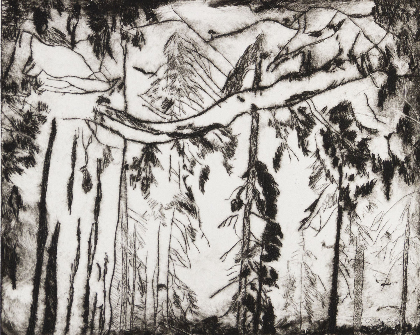 28x10 Black and white sketch of a forest with tall trees and mountains signed by artist.