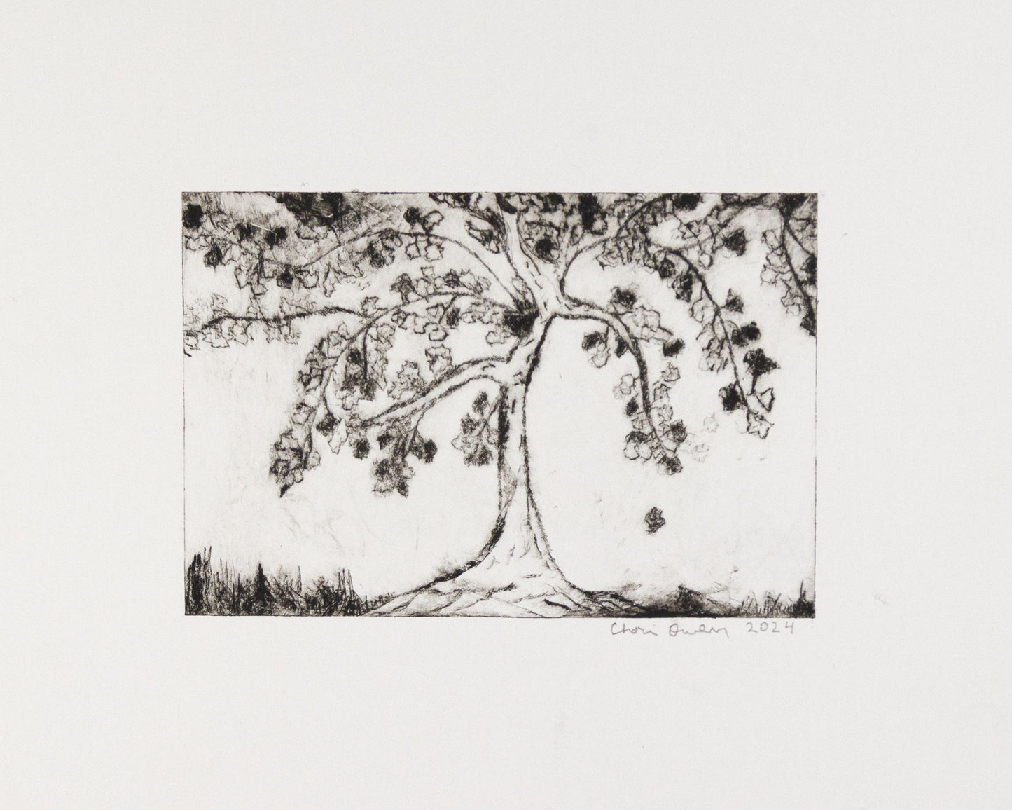 Black and white sketch of Willow tree signed by artist.