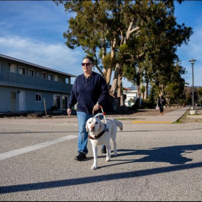 Cheri walks confidently across a street with Martinez, her guide dog, on a sunny day near trees and buildings.