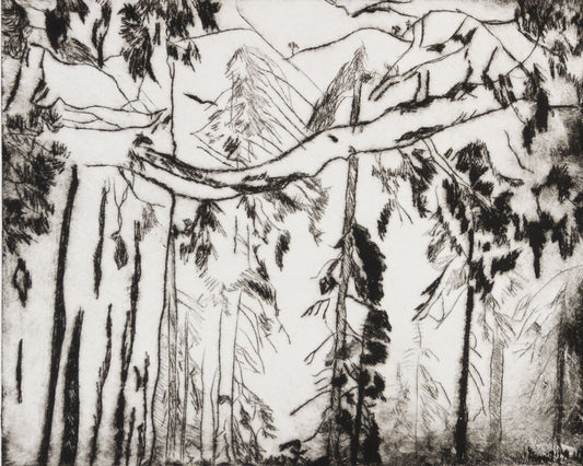 8x10 Black and white sketch of a forest with tall trees and mountains signed by artist.