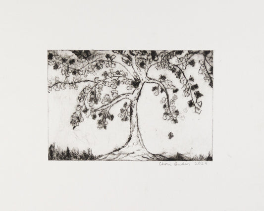 Black and white sketch of Willow tree signed by artist. 