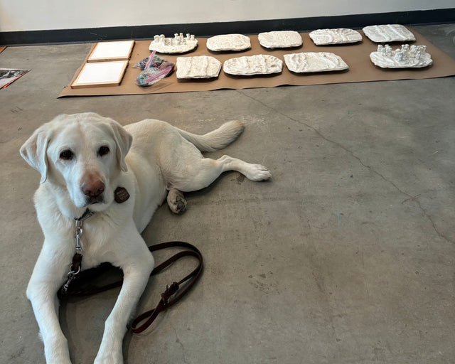 Martinez, Cheri Owen’s guide dog, lying on the studio floor beside tactile ceramic art pieces.