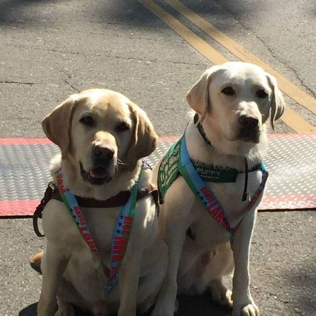 Martinez and another guide dog 